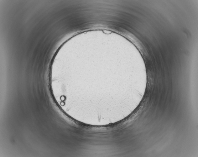 X0000111351142200908211229