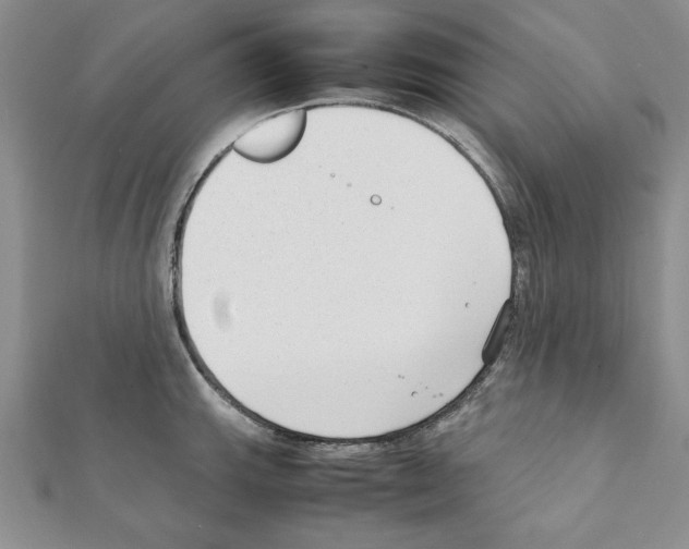 X0000111351143200908211229