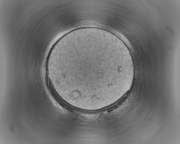 X0000111351144200908211229
