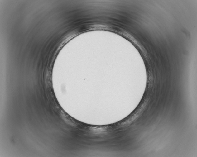 X0000111351145200908211229