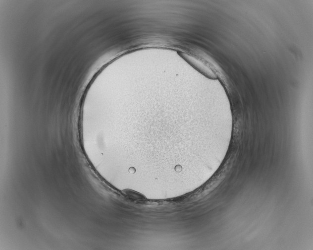 X0000111351146200908211229
