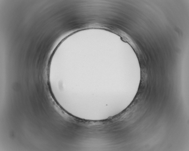 X0000111351148200908211229