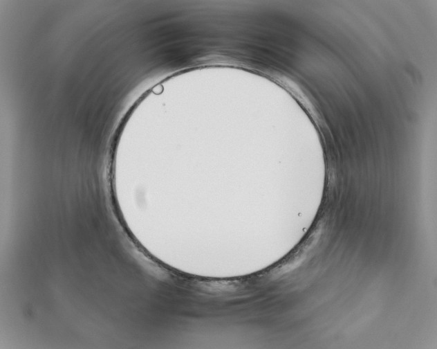 X0000111351149200908211229