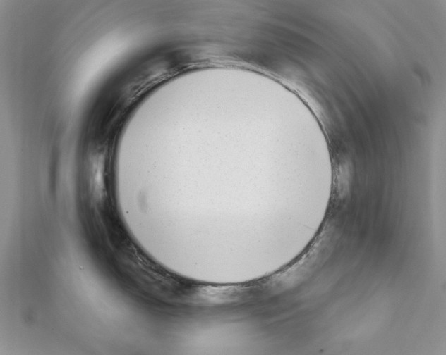 X0000111351150200908211229