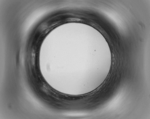 X0000111351151200908211229
