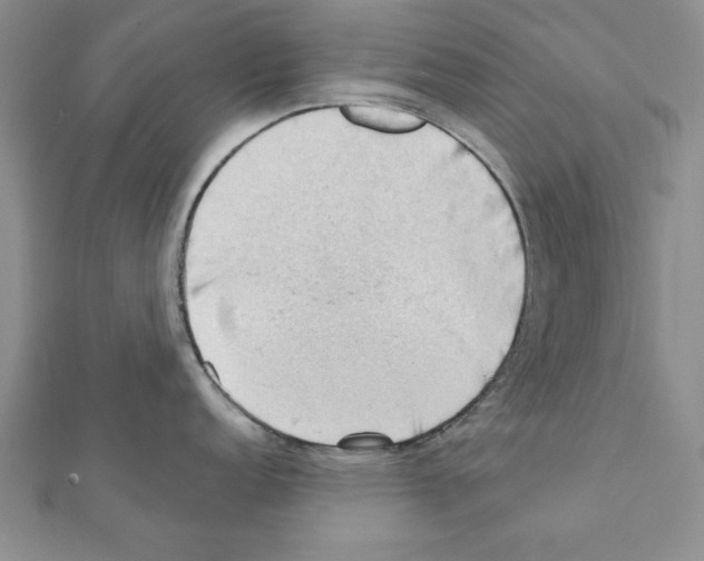 X0000111351152200908211229
