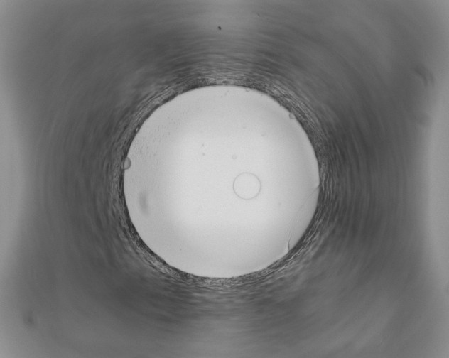 X0000111351153200908211228