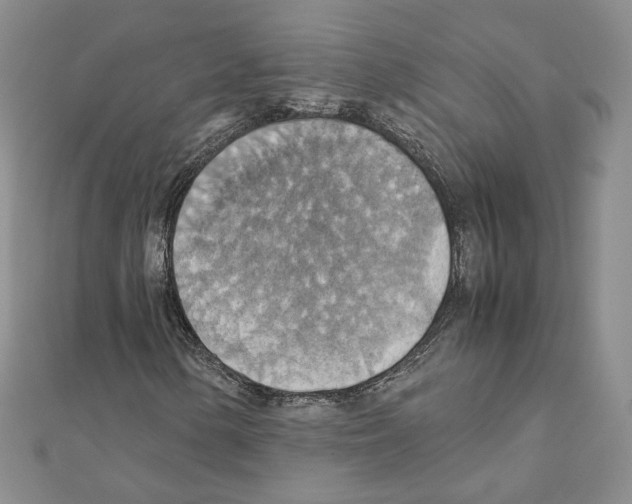 X0000111351154200908211228