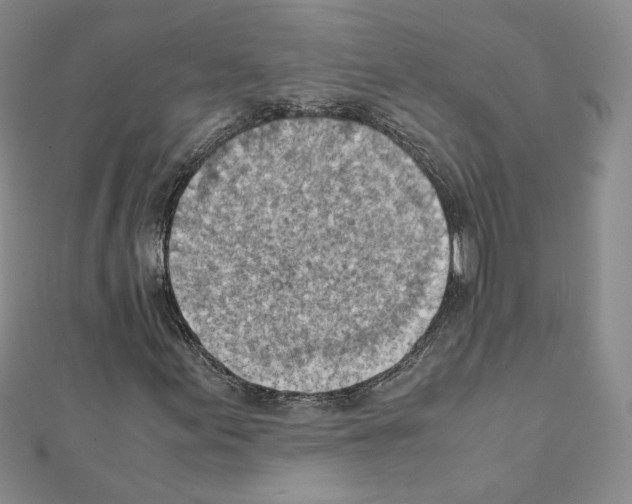 X0000111351155200908211228