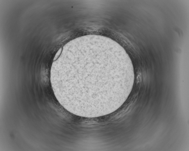 X0000111351156200908211228