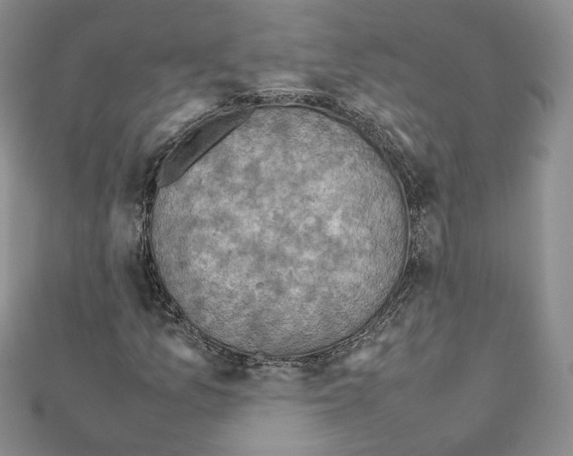 X0000111351157200908211228