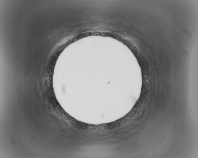X0000111351159200908211228
