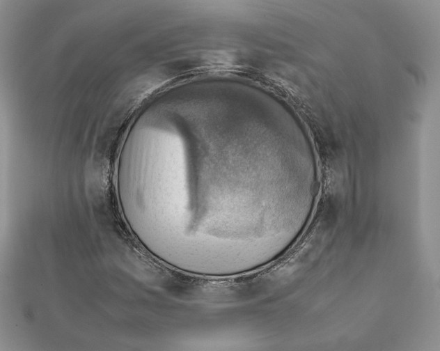 X0000111351161200908211228