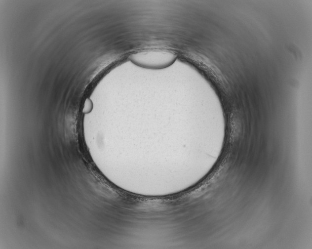 X0000111351162200908211228