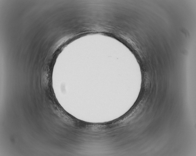 X0000111351163200908211228