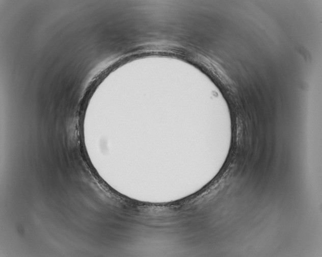 X0000111351164200908211228