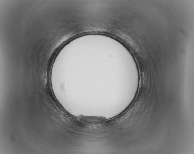 X0000111351165200908211228
