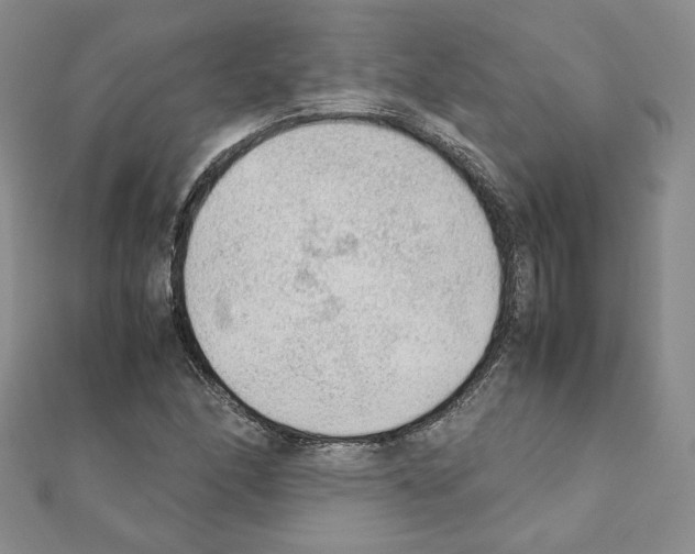 X0000111351166200908211228