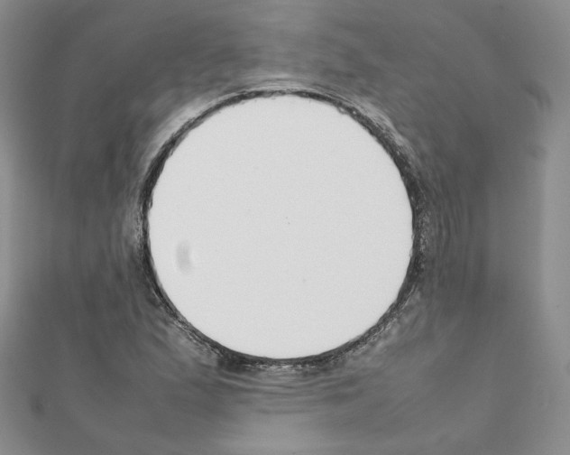 X0000111351167200908211228