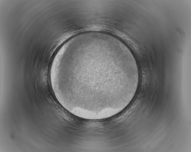X0000111351170200908211228