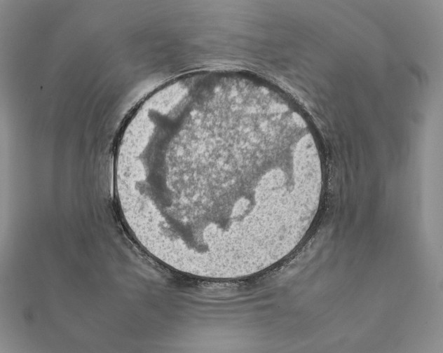 X0000111351171200908211228