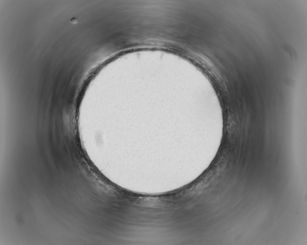 X0000111351172200908211228