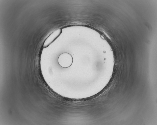 X0000111351173200908211228