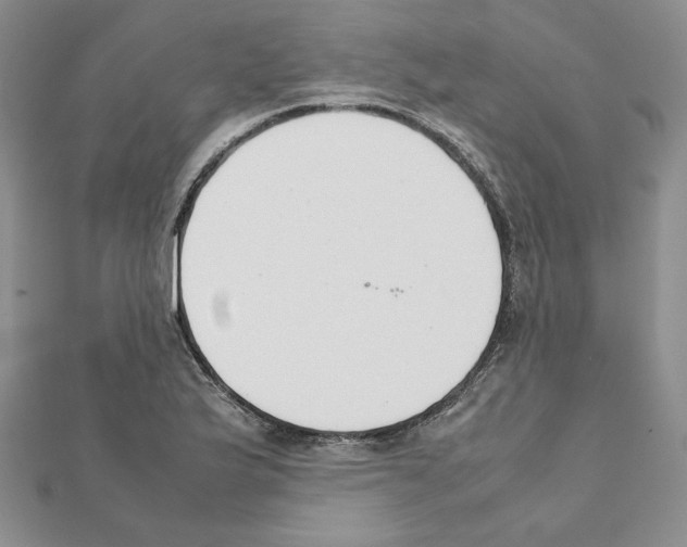 X0000111351175200908211228