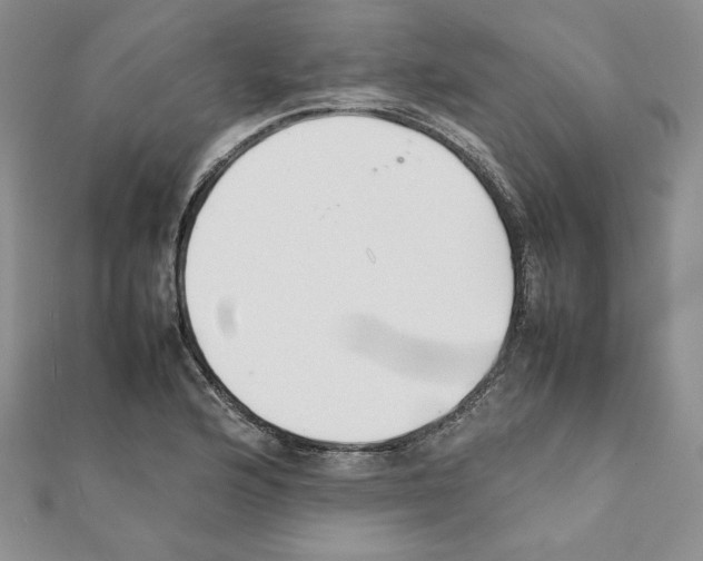 X0000111351176200908211228