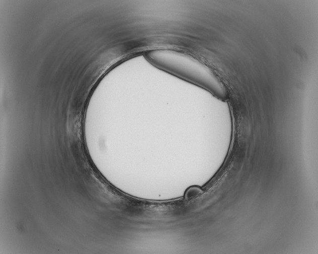 X0000111351177200908211228