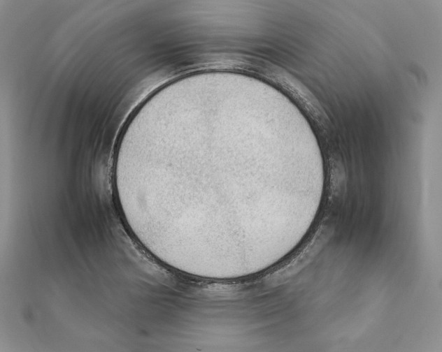 X0000111351178200908211228
