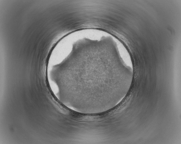 X0000111351179200908211228