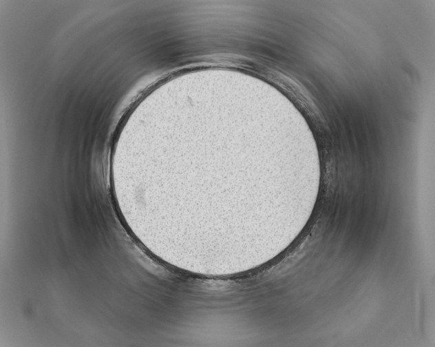 X0000111351180200908211228