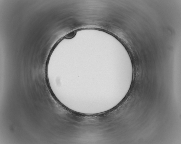 X0000111351181200908211228