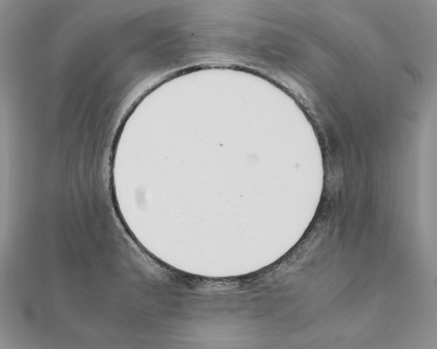 X0000111351183200908211228