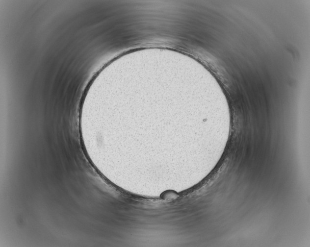 X0000111351184200908211228