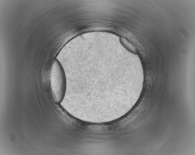 X0000111351185200908211228