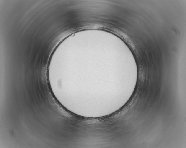 X0000111351186200908211228