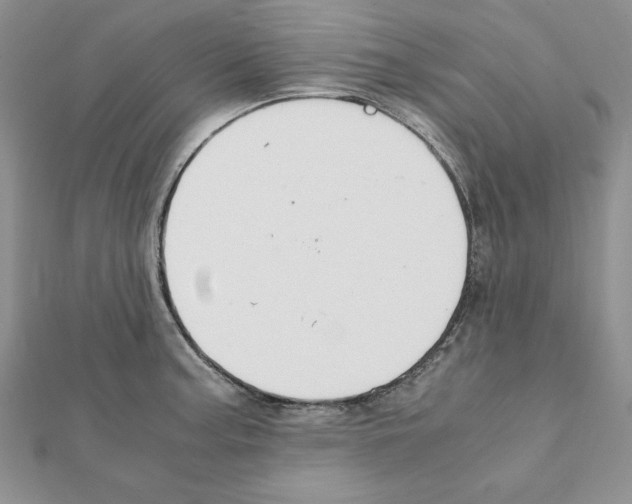X0000111351187200908211228
