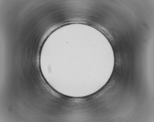 X0000111351188200908211228