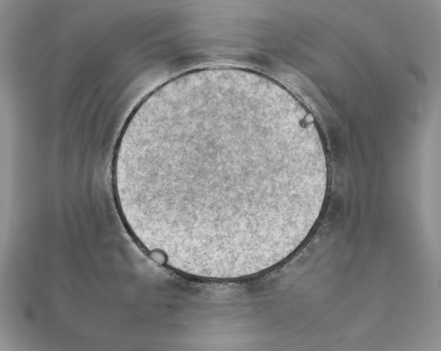 X0000111351189200908211228