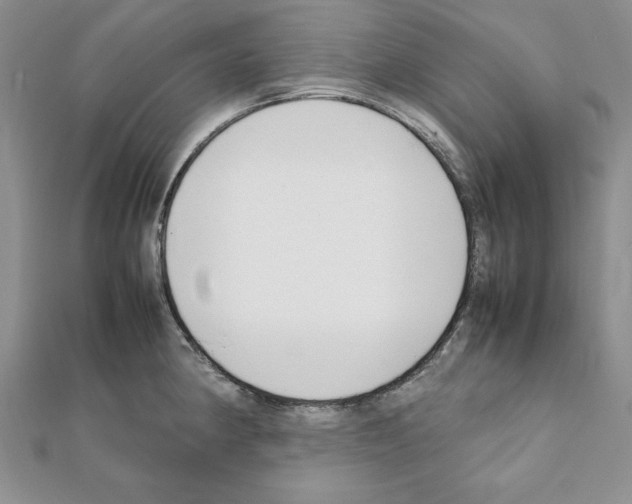 X0000111351190200908211228
