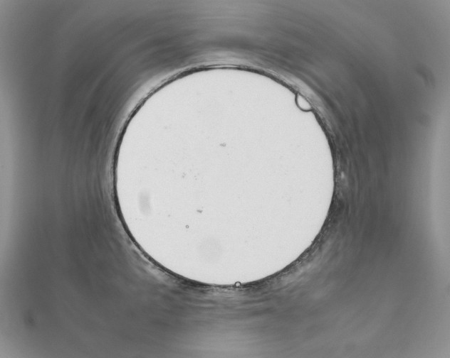X0000111351191200908211228