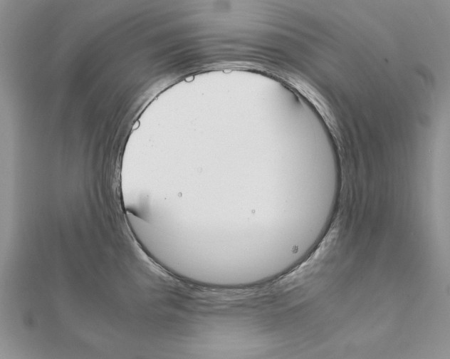 X0000111351193200908211228