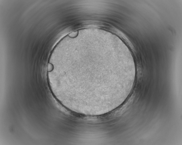 X0000111351194200908211228