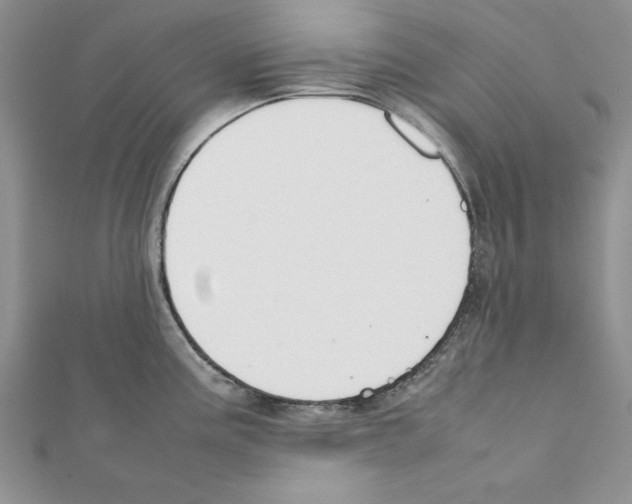 X0000111351195200908211228