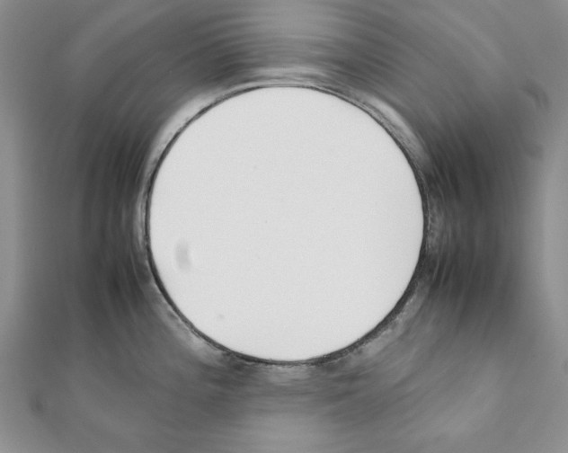 X0000111351196200908211228