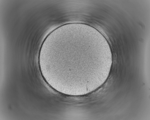 X0000111351197200908211228