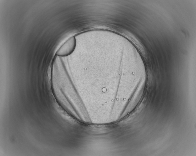 X0000111351198200908211228