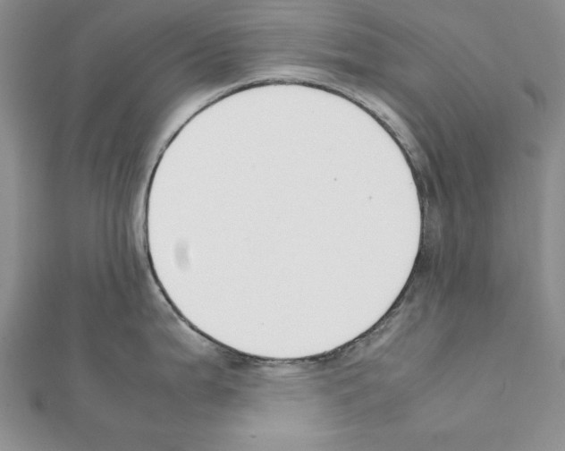 X0000111351199200908211227